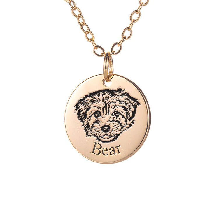 Colar Pets™ Gravação a lase - foto e nome