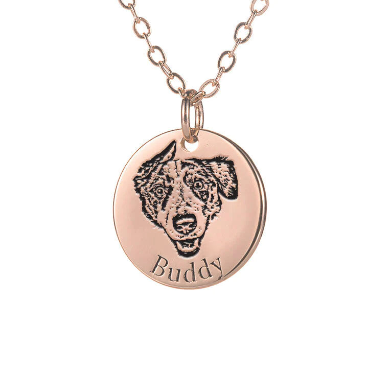 Colar Pets™ Gravação a lase - foto e nome