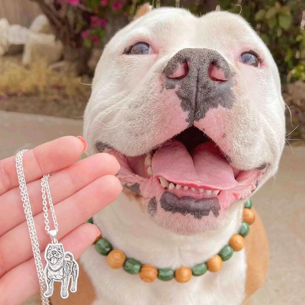 Colar Pets Lovers | Personalizável Foto - Eleshe